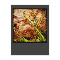 By the Lake ... postcards by FelicitasArt By the Lake ... postcards
