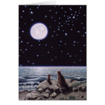 By the Light of the Cat Fish Moon Cards