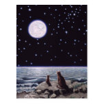 By the Light of the Cat Fish Moon Post Card