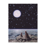 By the Light of the Cat Fish Moon Post Card