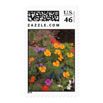 by the pond postage