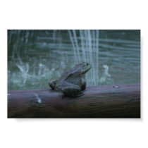 By the pond posters