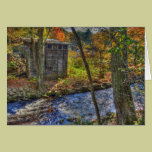 By the River cards