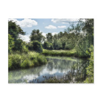 By the River Postcard postcards
