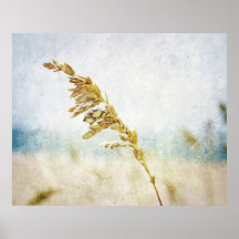 By The Sea Print