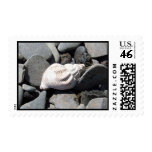 By The Seashore Stamp