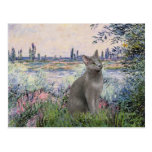 By the Seine - Russian Blue cat Post Cards