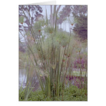 By the Water, Santa Barbara cards by agserm By the Water, Santa Barbara cards