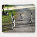 Bye Bye Lemurs Mouse Mats