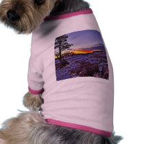 Byrce Canyon Sunrises Morning Winter pet clothing
