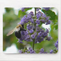 BZ- Busy Bee Mousepad by patcallum BZ- Busy Bee Mousepad