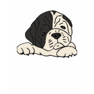 BZ- Puppy Bulldog Shirt shirt