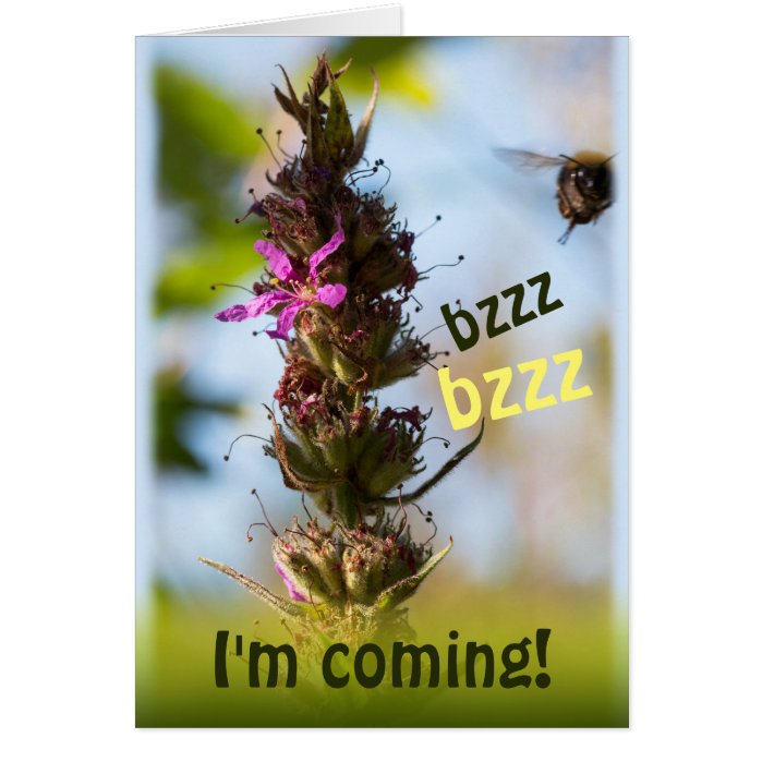 Bzzz I'm coming! CC0764 Loosestrife & Bumblebee Greeting Card
