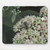 Bzzzzzz mousepads