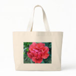 c00571.jpg bags