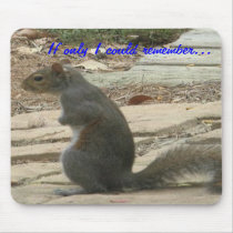 C1- -Squirrel Mousepad by patcallum C1- -Squirrel Mousepad