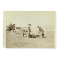 c.1888 "Branding Calves on Roundup" posters