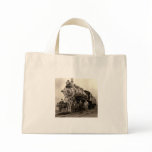 C. 1905 Railroad Train Bag