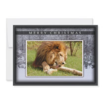c-2011-african-lion-001 personalized invite