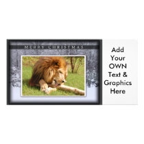 c-2011-african-lion-001 photo card template