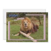c-2011-african-lion-006 personalized announcements