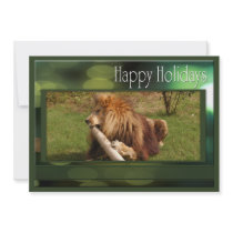 c-2011-african-lion-017 invite