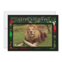 c-2011-african-lion-019 personalized announcements
