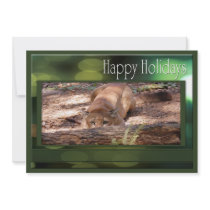 c-2011-cougar-010 personalized invitation