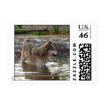 c-2011-grey-wolf-005 sellos