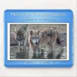 c-2011-grey-wolf-006 mouse pads