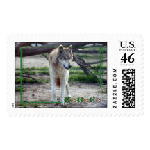 c-2011-grey-wolf-008 sellos
