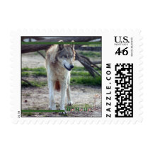 c-2011-grey-wolf-012 sellos