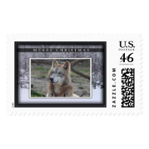 c-2011-grey-wolf-020 sello