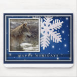 c-2011-grey-wolf-030 mousepads
