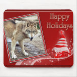 c-2011-grey-wolf-036 mousepads