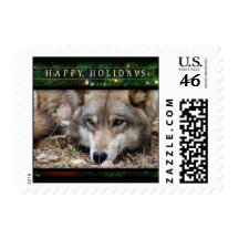 c-2011-grey-wolf-045 franqueo
