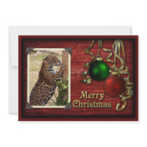 c-2011-jaguar-004 custom invitation