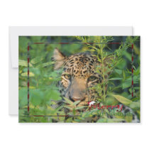 c-2011-leopard-044 custom invites