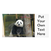 c-2011-panda-0002 photo cards