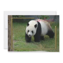 c-2011-panda-0003 custom invite