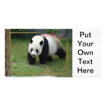 c-2011-panda-0003 photo greeting card
