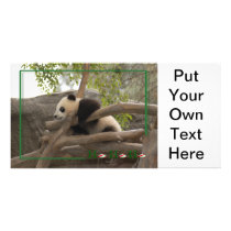c-2011-panda-0005 personalized photo card