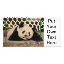 c-2011-panda-0006 picture card