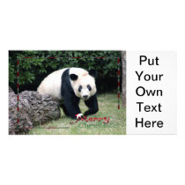 c-2011-panda-0009 photo card template