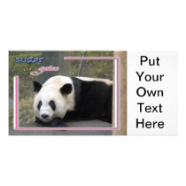 c-2011-panda-0016 custom photo card
