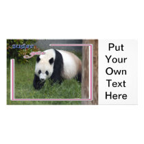 c-2011-panda-0017 custom photo card