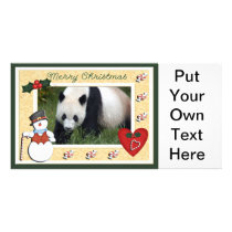 c-2011-panda-0021 photo card template