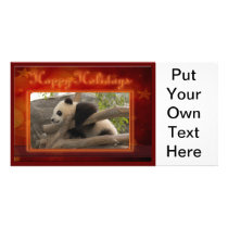 c-2011-panda-0025 custom photo card