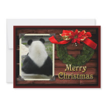 c-2011-panda-0028 personalized invite