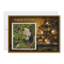 c-2011-panda-0031 personalized invite